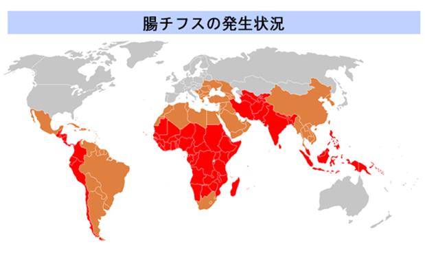 腸チフスの分布地図